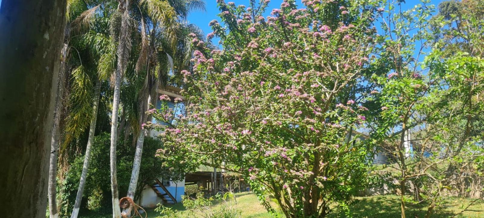 Sitio Ilha Da Madeira Vila São Roque Exterior foto